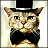 SupaCat's Avatar