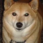 MeTonyIs's Avatar