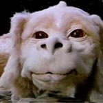 stormbot's Avatar