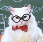 Professor Frisky's Avatar